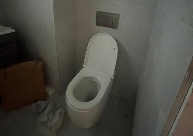toilet-2